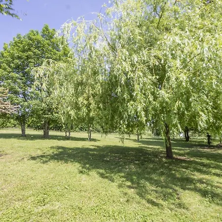 Boutouzet Villa Villeneuve-sur-Lot